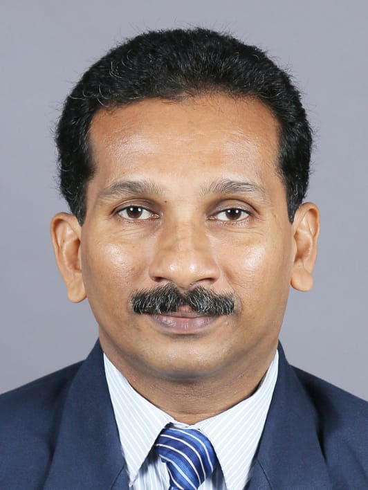 Jerry Varghese Panikulam  
